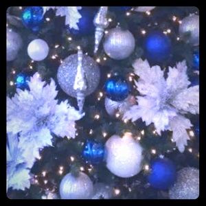 Meet your Posher, Mae!